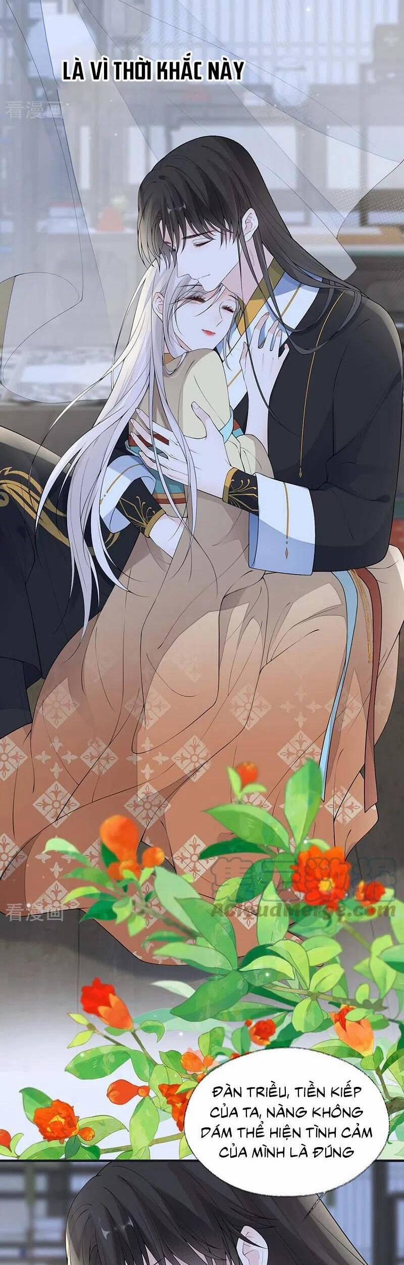 Thái Hậu Quân Hạ Thần 172 trang 21