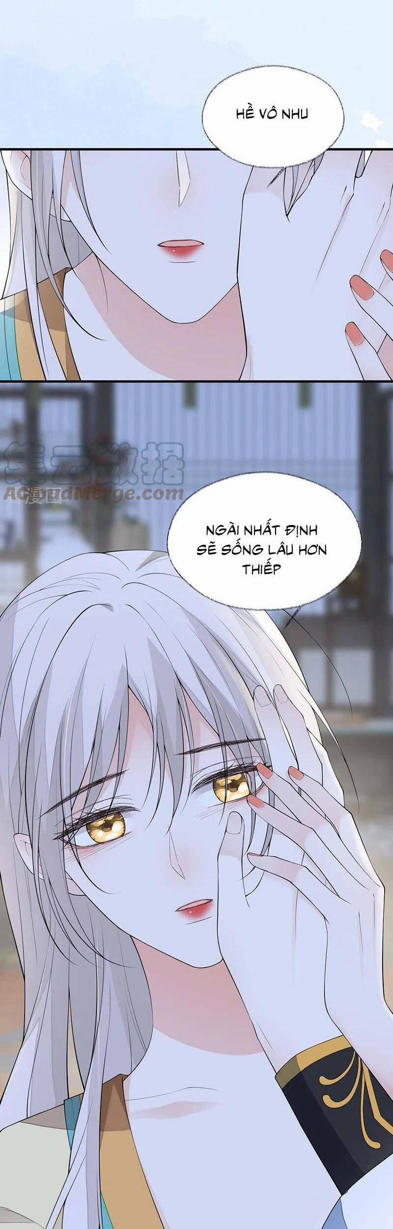 Thái Hậu Quân Hạ Thần 172 trang 24