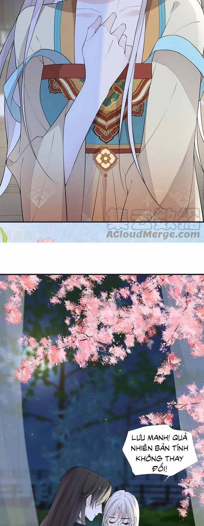 Thái Hậu Quân Hạ Thần 173 trang 13