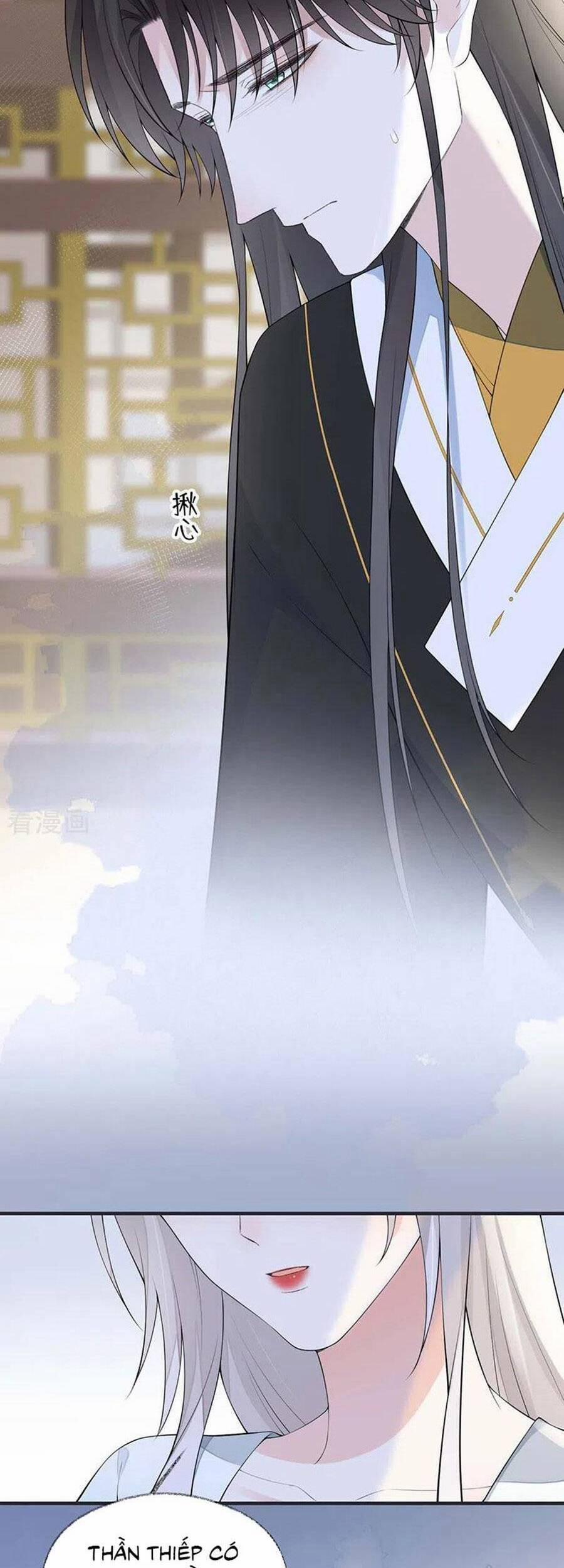 Thái Hậu Quân Hạ Thần 174 trang 17