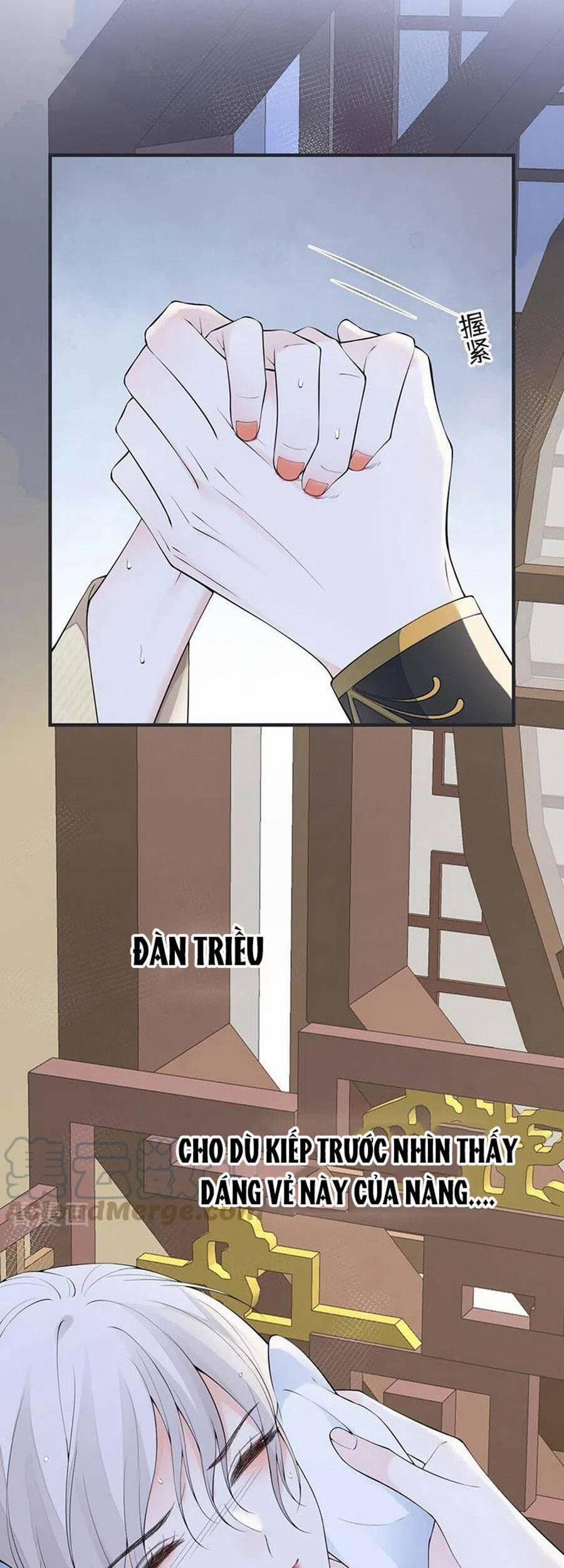 Thái Hậu Quân Hạ Thần 174 trang 23