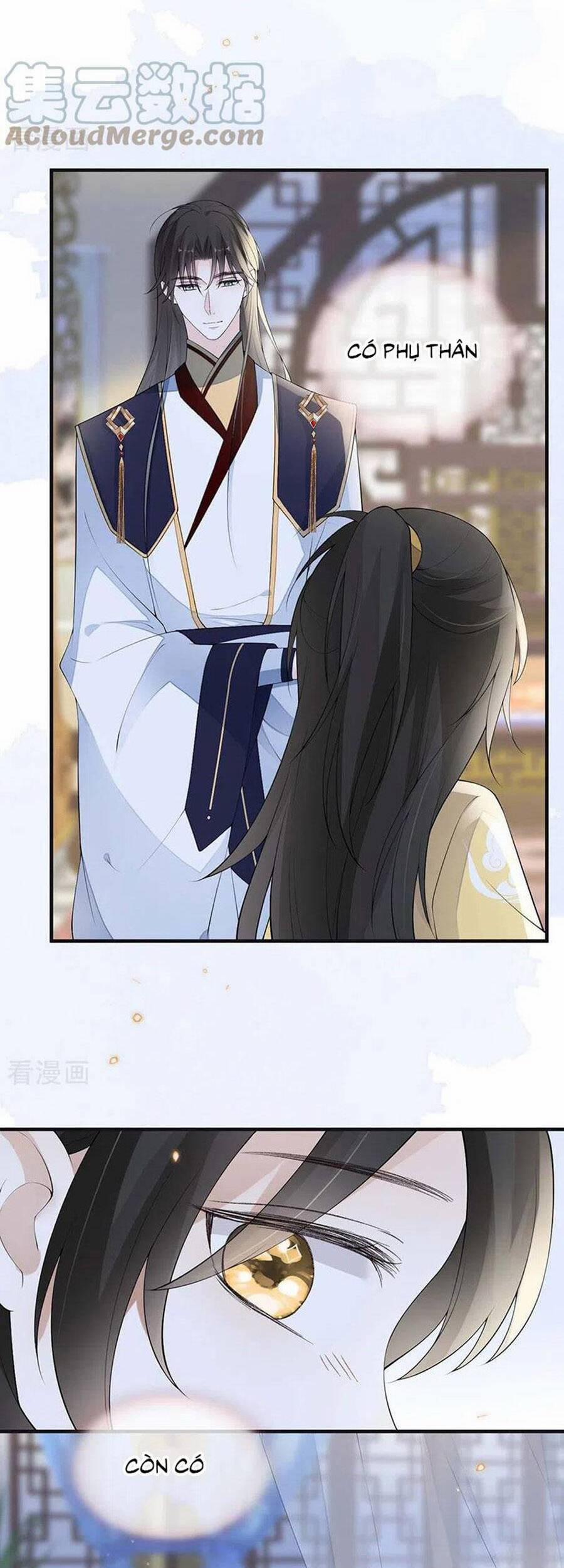 Thái Hậu Quân Hạ Thần 175 trang 14