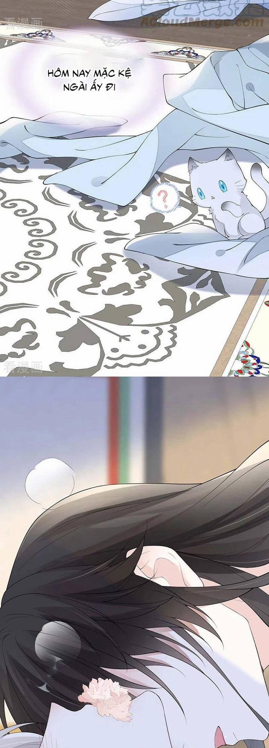 Thái Hậu Quân Hạ Thần 178 trang 17