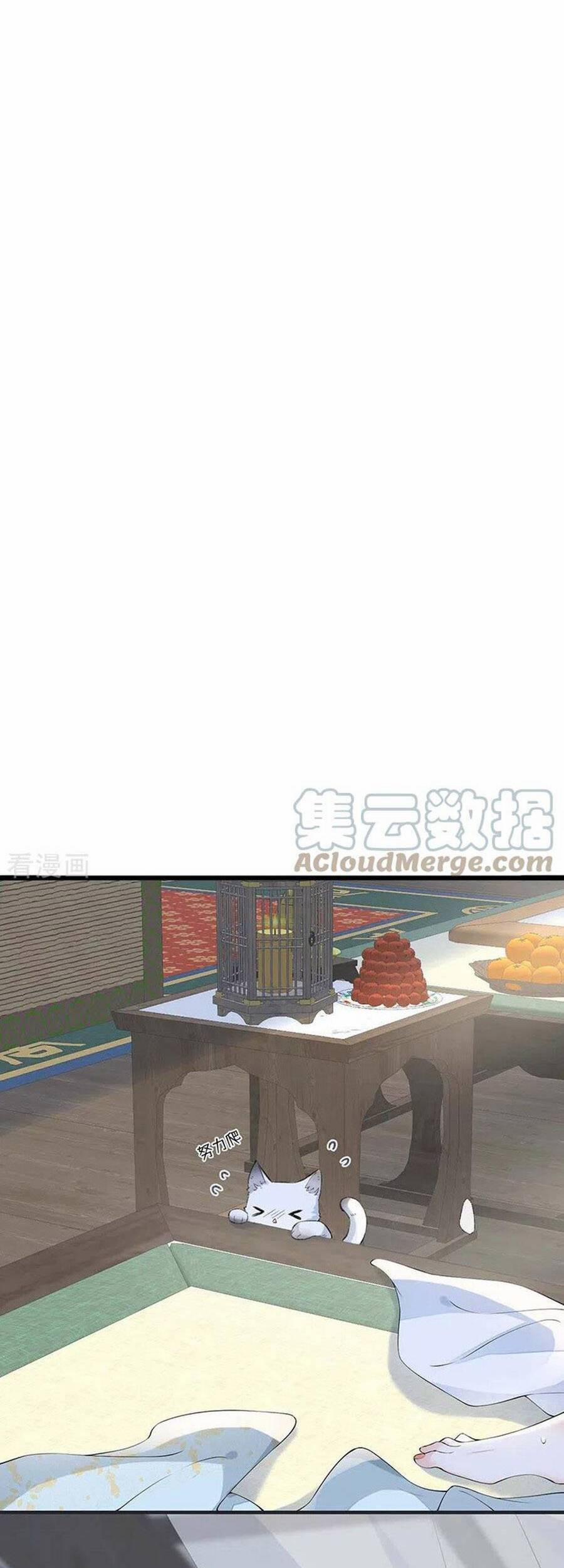 Thái Hậu Quân Hạ Thần 178 trang 20