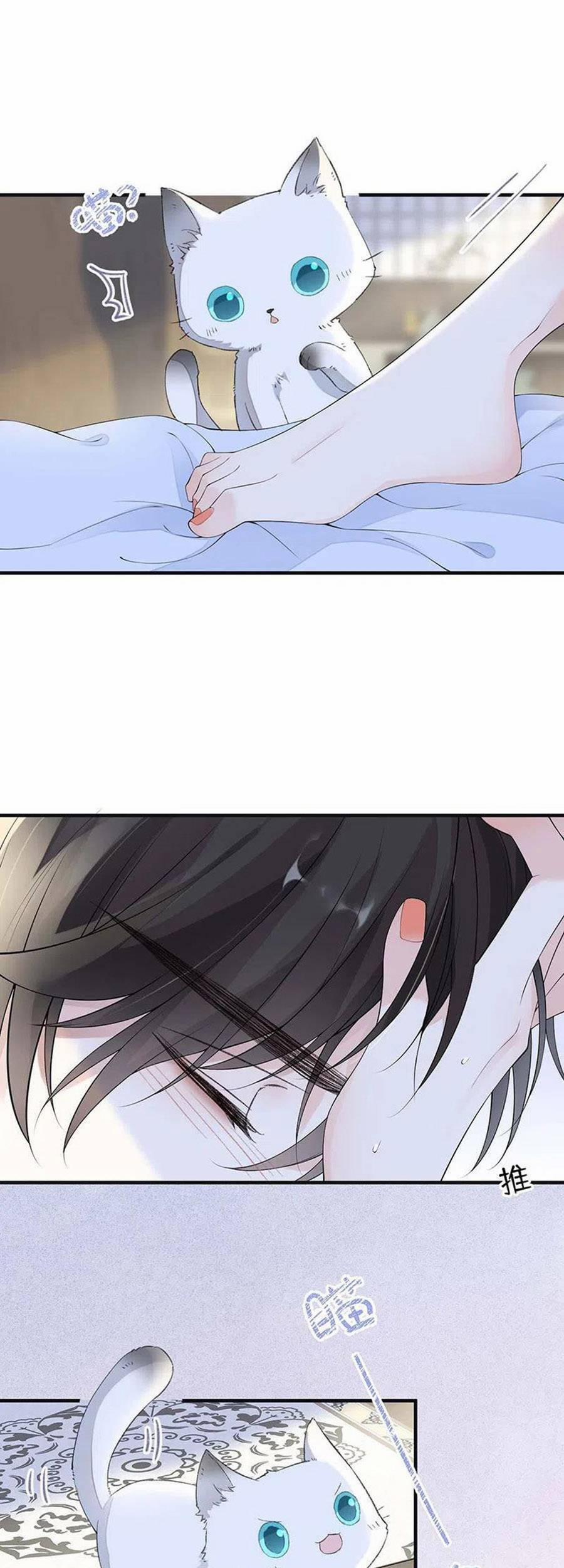 Thái Hậu Quân Hạ Thần 178 trang 25