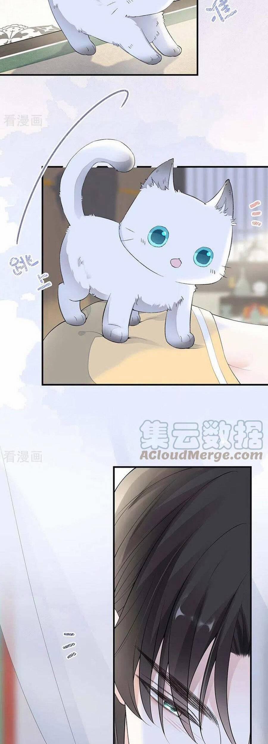 Thái Hậu Quân Hạ Thần 178 trang 26