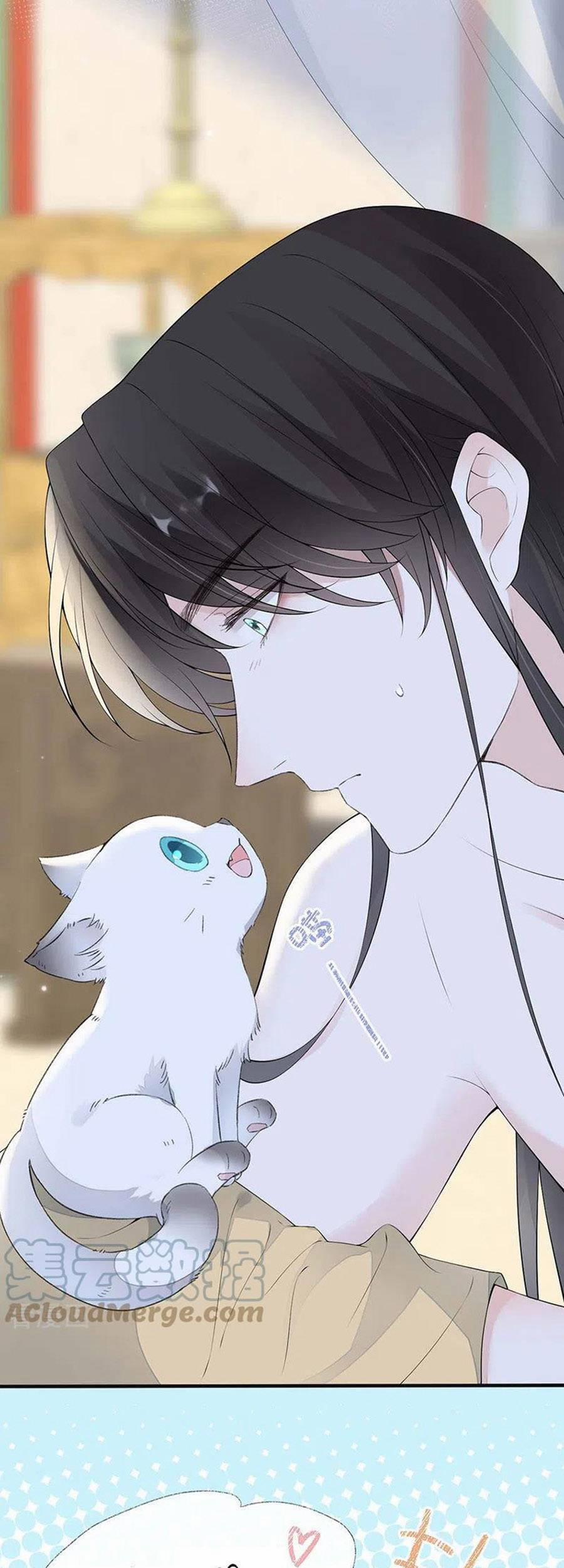 Thái Hậu Quân Hạ Thần 178 trang 28