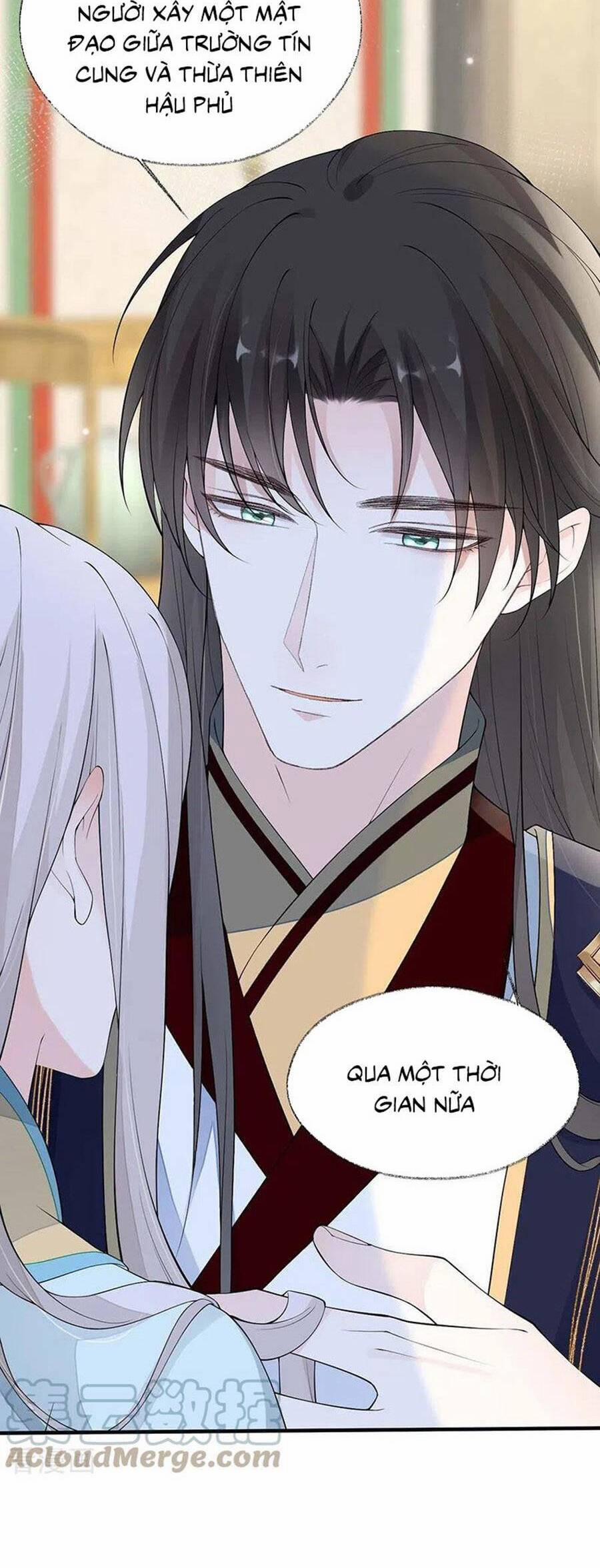 Thái Hậu Quân Hạ Thần 178 trang 3