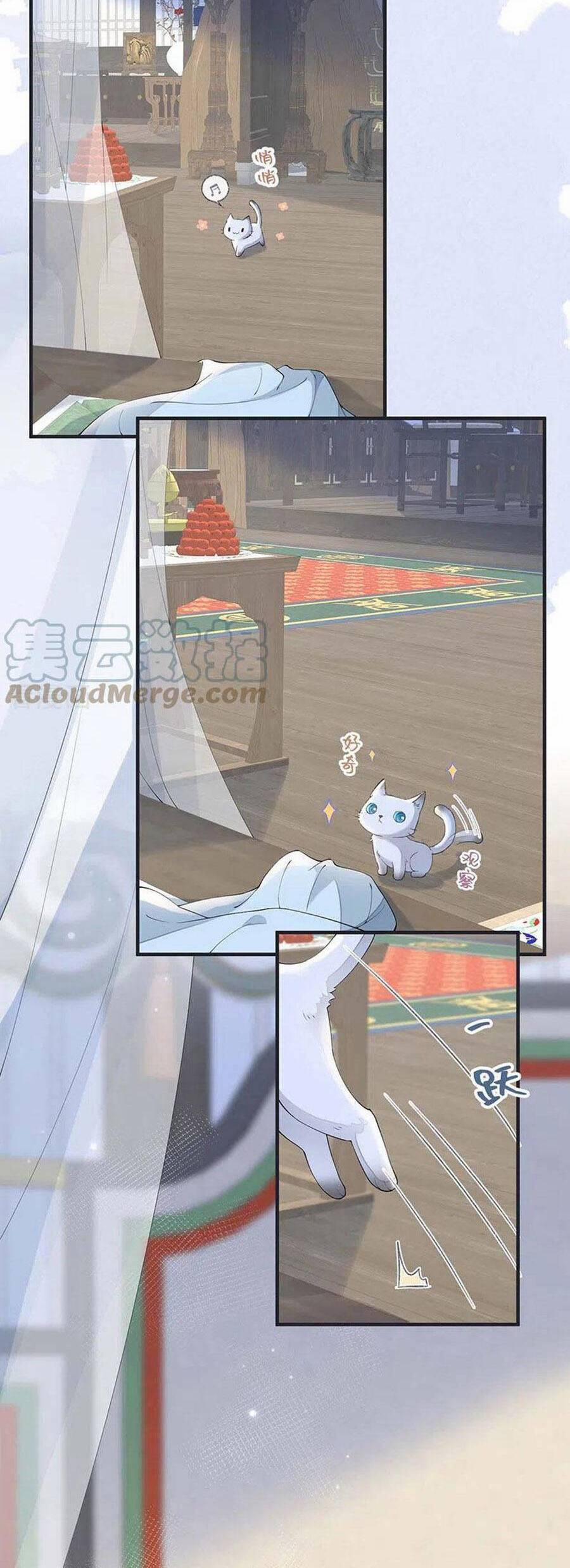 Thái Hậu Quân Hạ Thần 179 trang 10