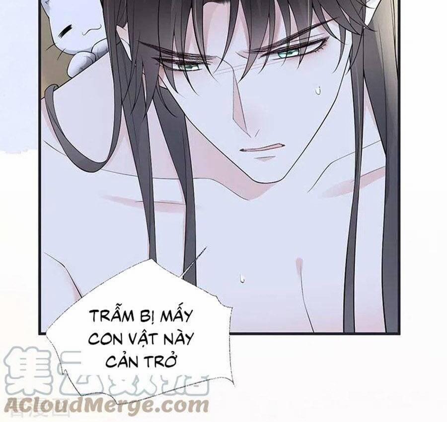 Thái Hậu Quân Hạ Thần 179 trang 13