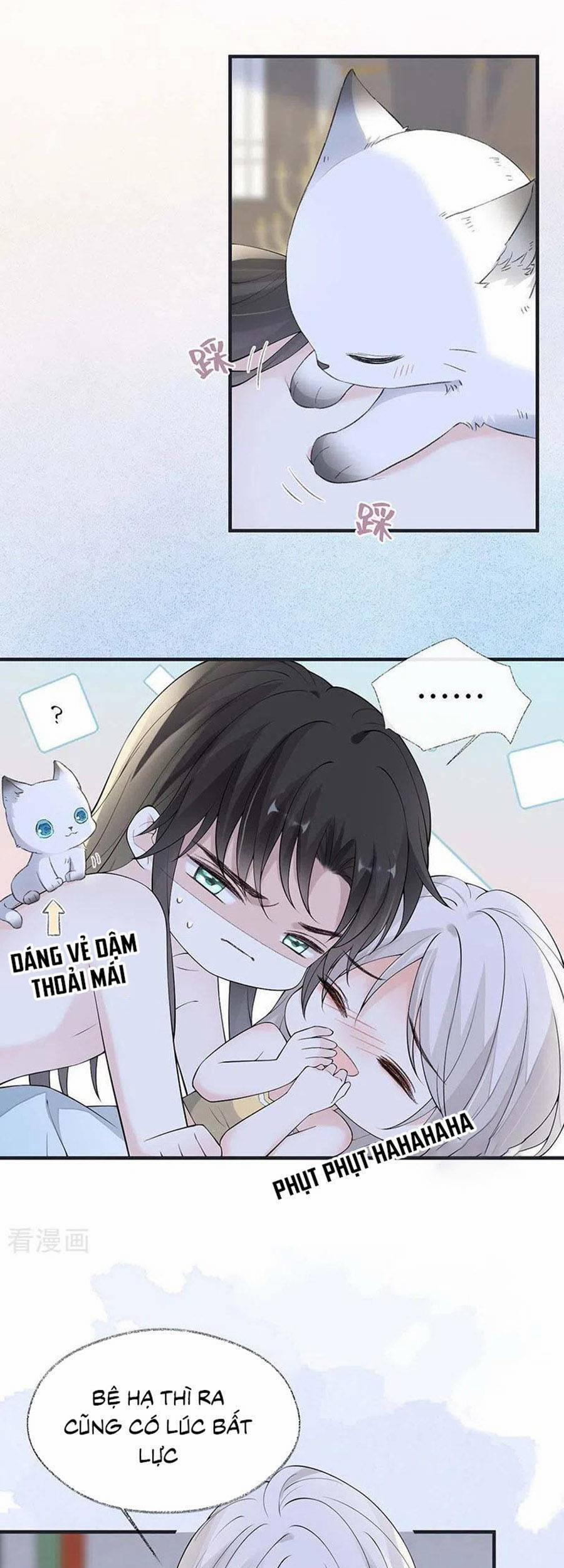 Thái Hậu Quân Hạ Thần 179 trang 14