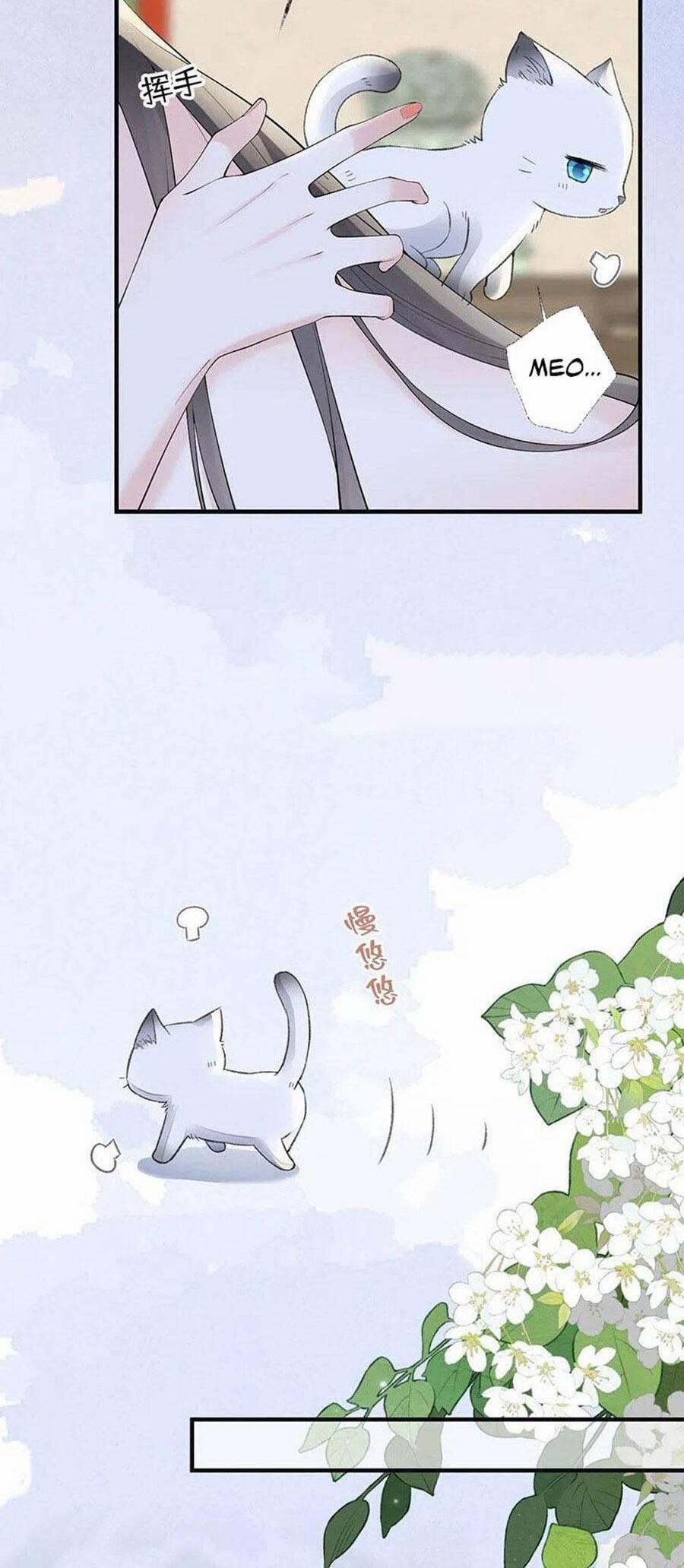 Thái Hậu Quân Hạ Thần 179 trang 18