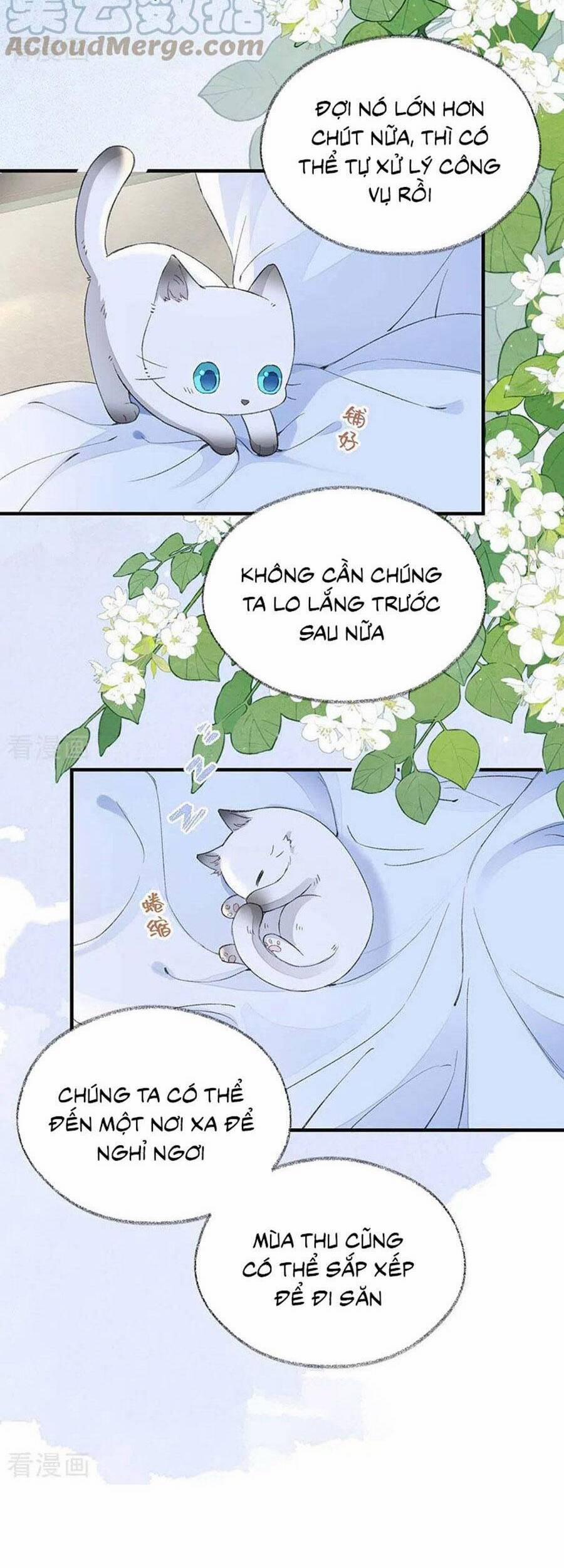 Thái Hậu Quân Hạ Thần 179 trang 23