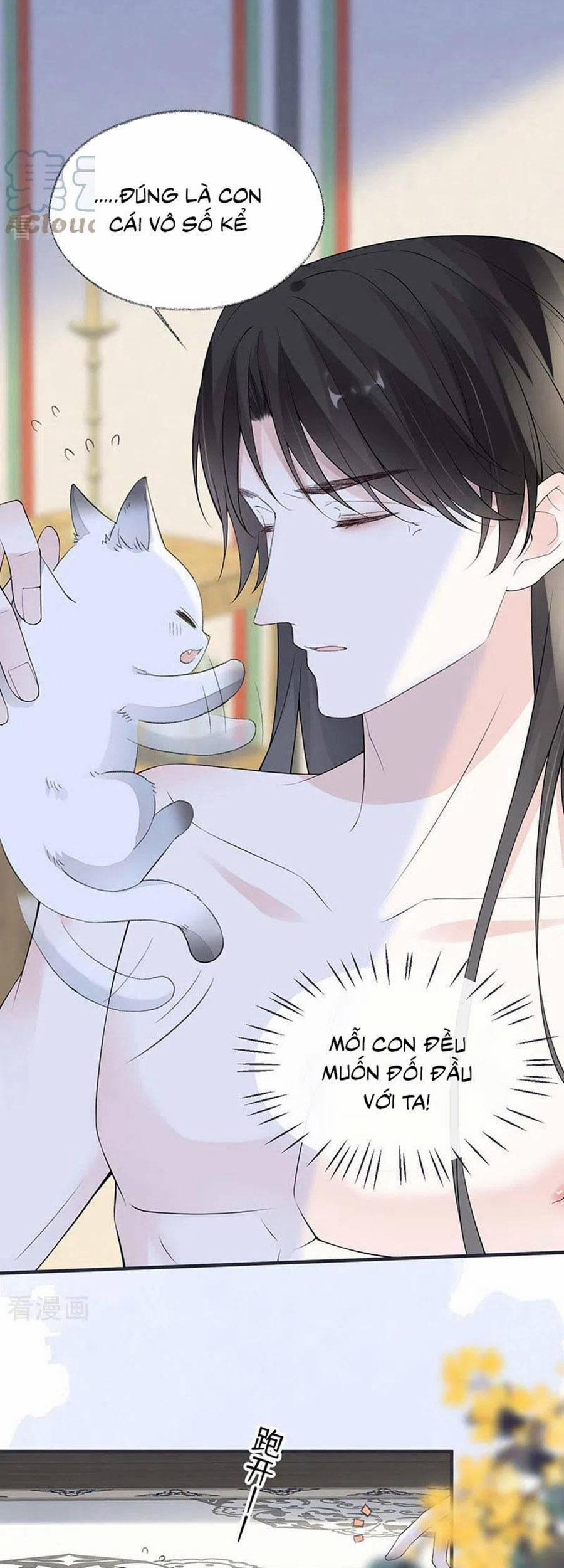 Thái Hậu Quân Hạ Thần 179 trang 3