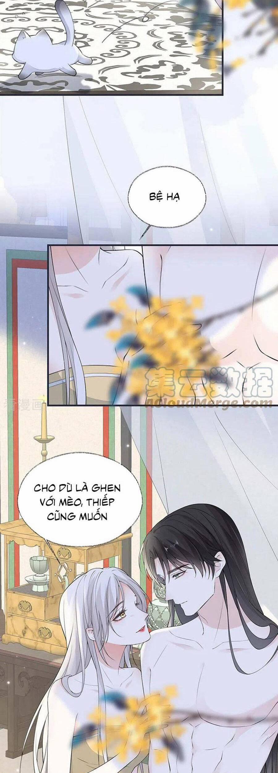 Thái Hậu Quân Hạ Thần 179 trang 4