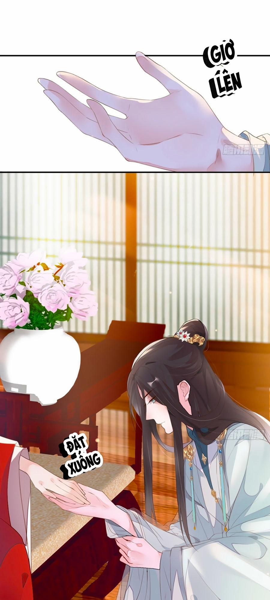 Thái Hậu Quân Hạ Thần 2 trang 22