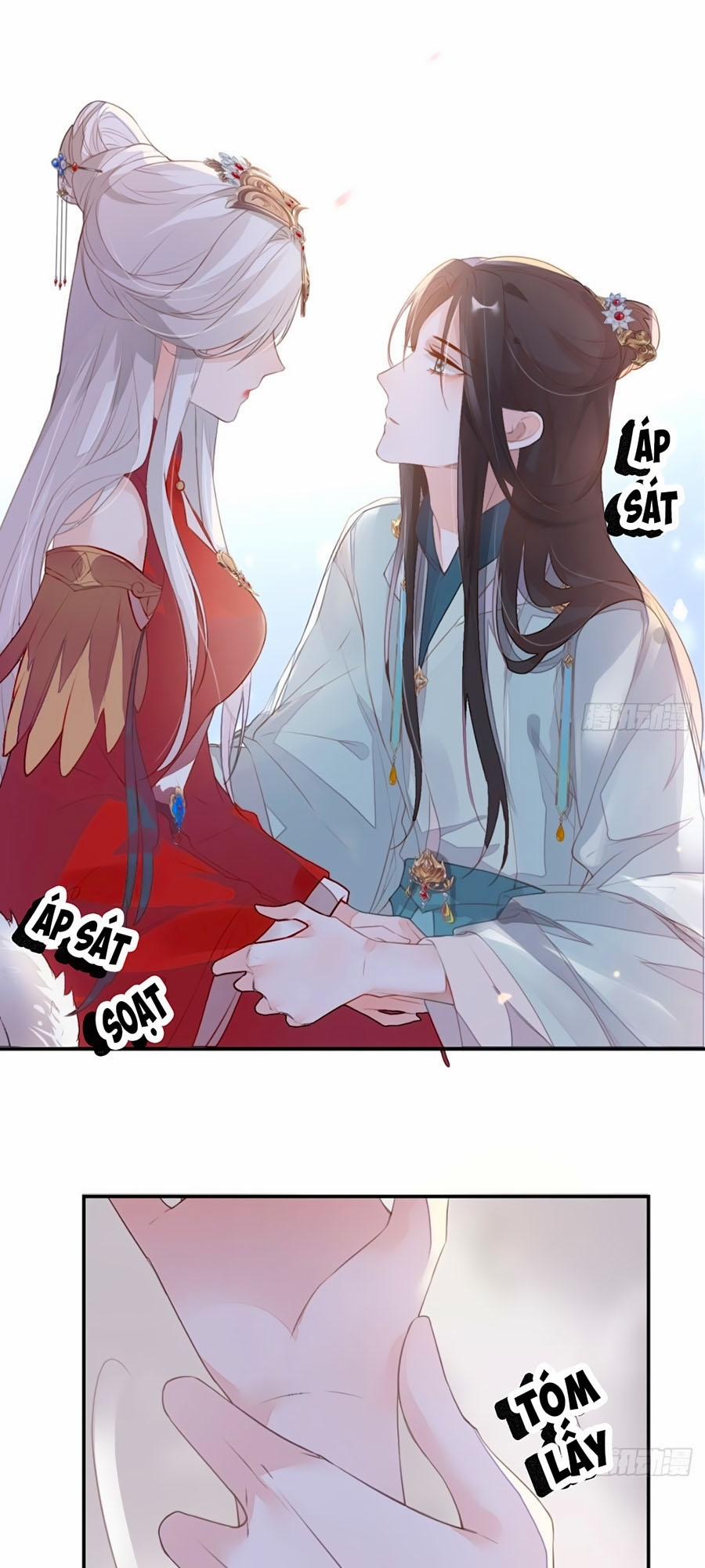 Thái Hậu Quân Hạ Thần 2 trang 24