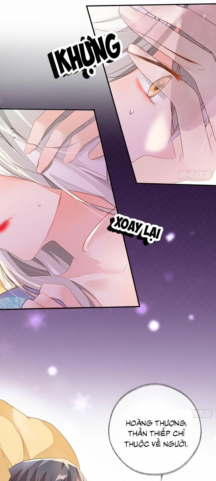 Thái Hậu Quân Hạ Thần 3 trang 14