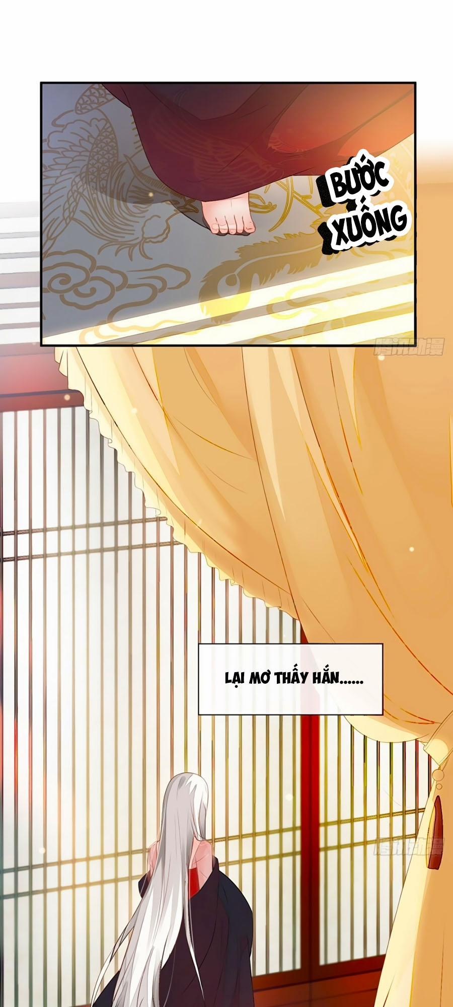 Thái Hậu Quân Hạ Thần 3 trang 21