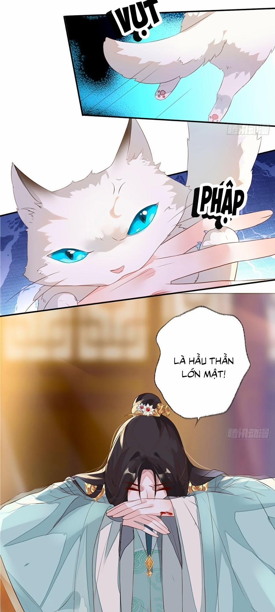 Thái Hậu Quân Hạ Thần 3 trang 3