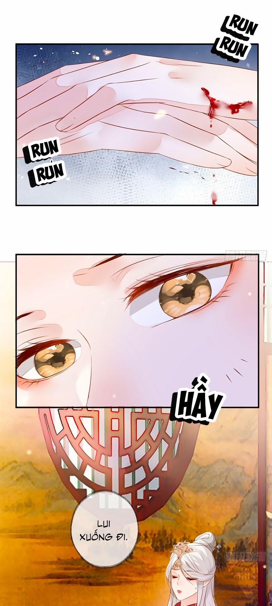 Thái Hậu Quân Hạ Thần 3 trang 5