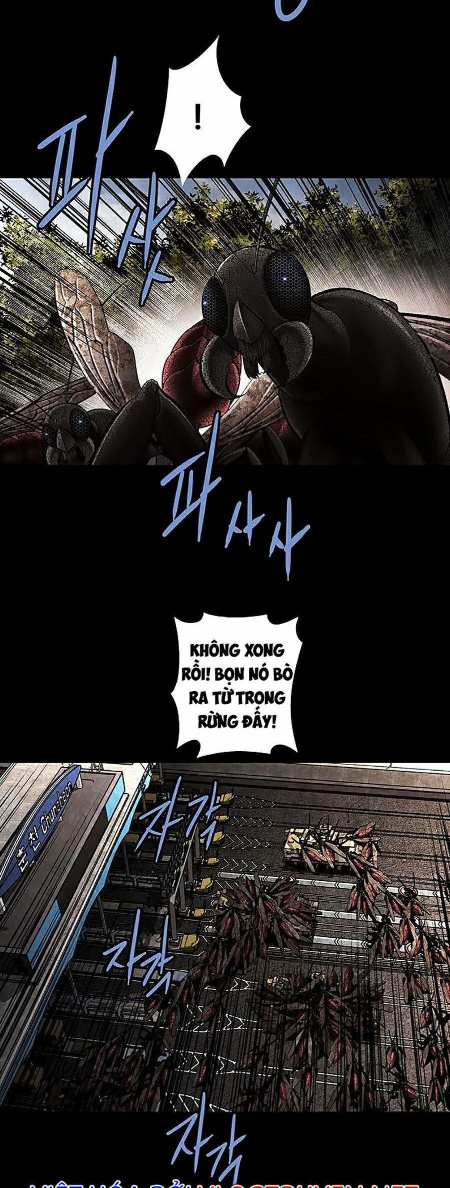 Thảm Họa Ong Độc 274 trang 1