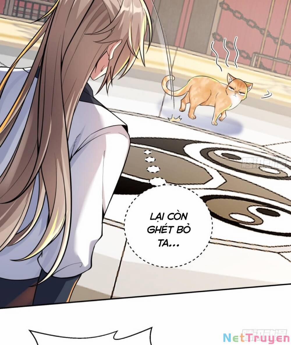 Thần Cấp Khế Ước : Bắt Đầu Với Một Con Mèo 2 trang 7