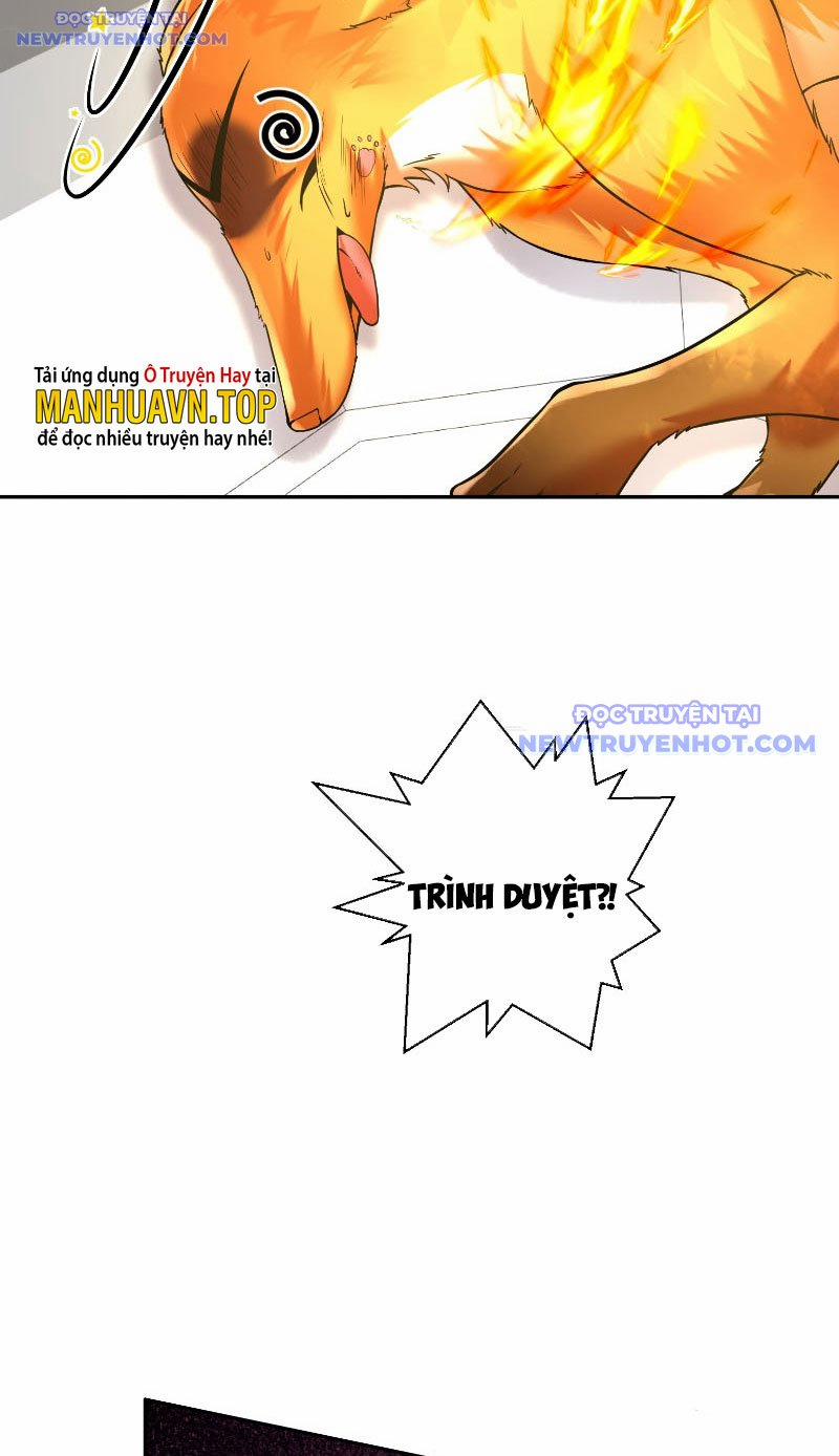 Thần Cấp Khế Ước : Bắt Đầu Với Một Con Mèo 3 trang 5