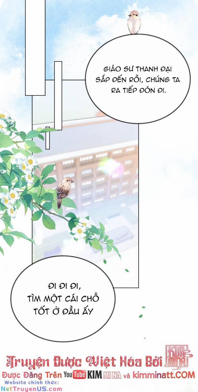 Thân Phận Của Phu Nhân Làm Chấn Động Cả Thành Phố. 33 trang 6