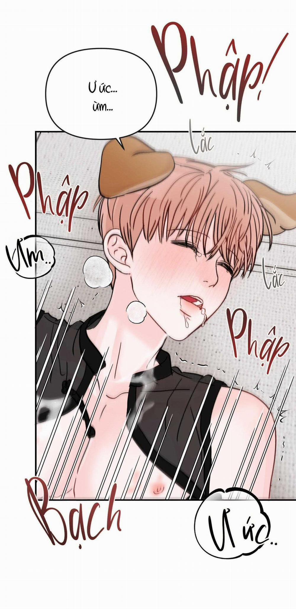 Thán Phục Thanh Xuân 82 trang 12