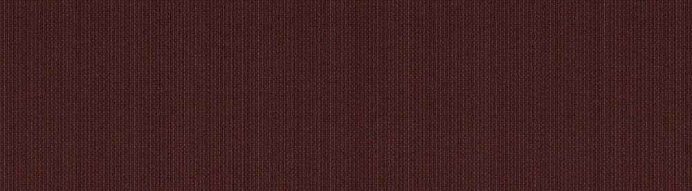 Tháng 12 Của Tôi 1 trang 13