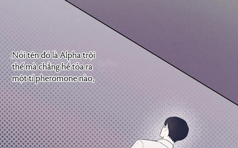 Tháng 12 Của Tôi 10 trang 62