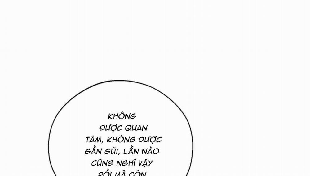 Tháng 12 Của Tôi 11 trang 136