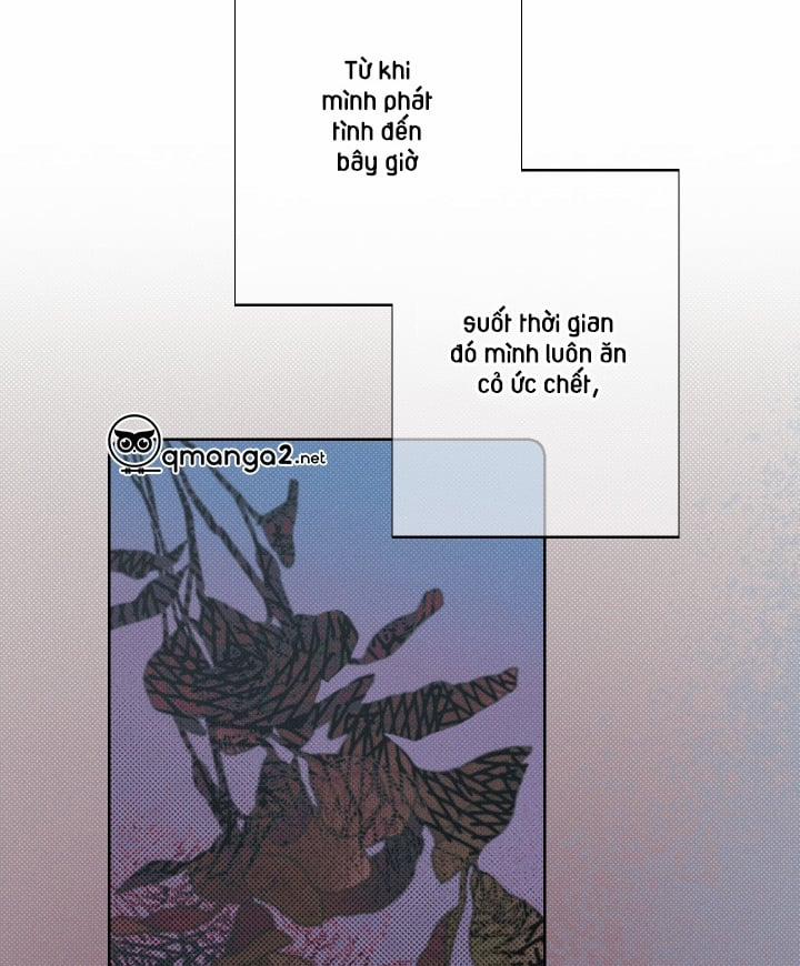 Tháng 12 Của Tôi 13 trang 6