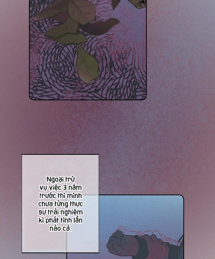 Tháng 12 Của Tôi 13 trang 7
