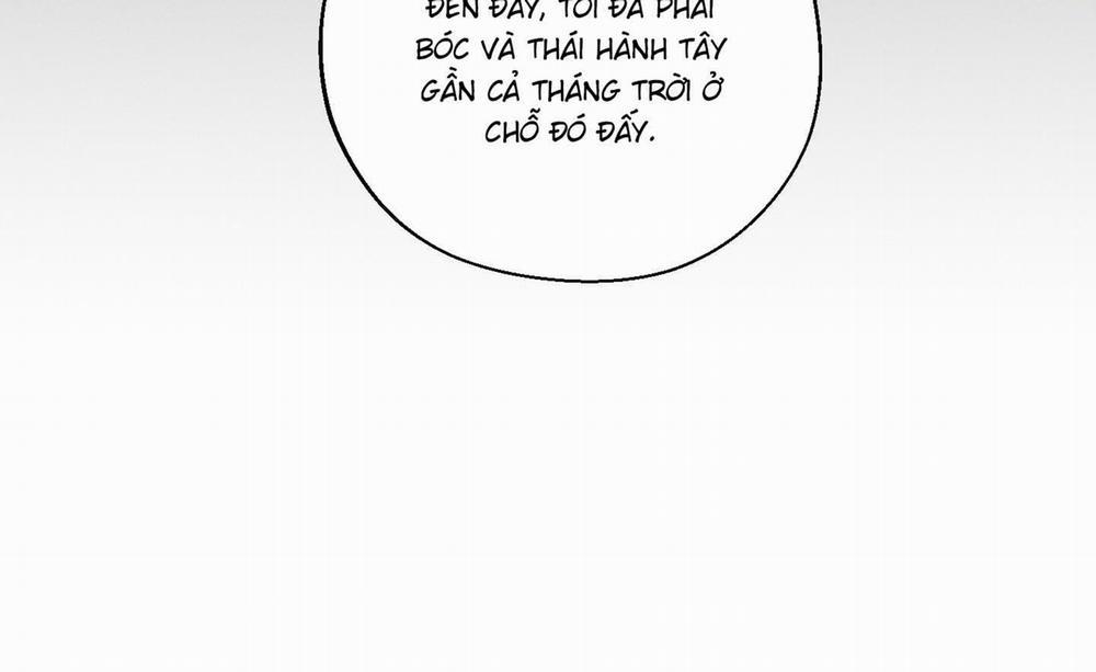 Tháng 12 Của Tôi 21 trang 103