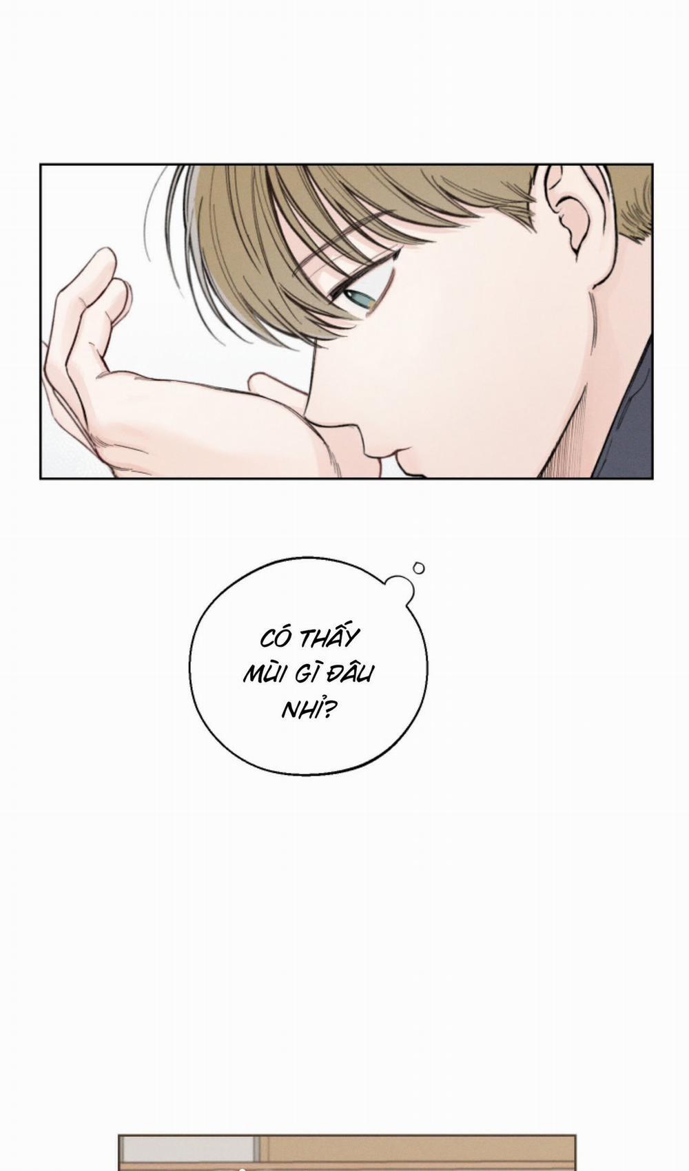 Tháng 12 Của Tôi 26 trang 16