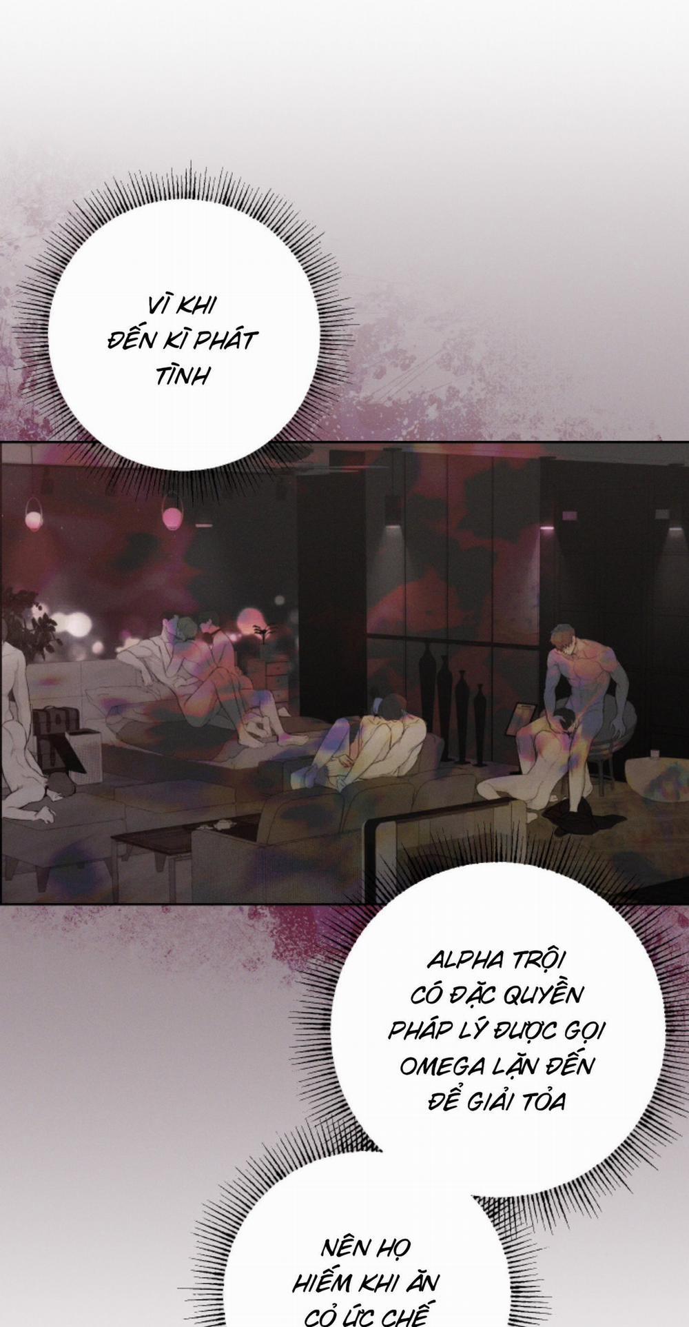 Tháng 12 Của Tôi 26 trang 34