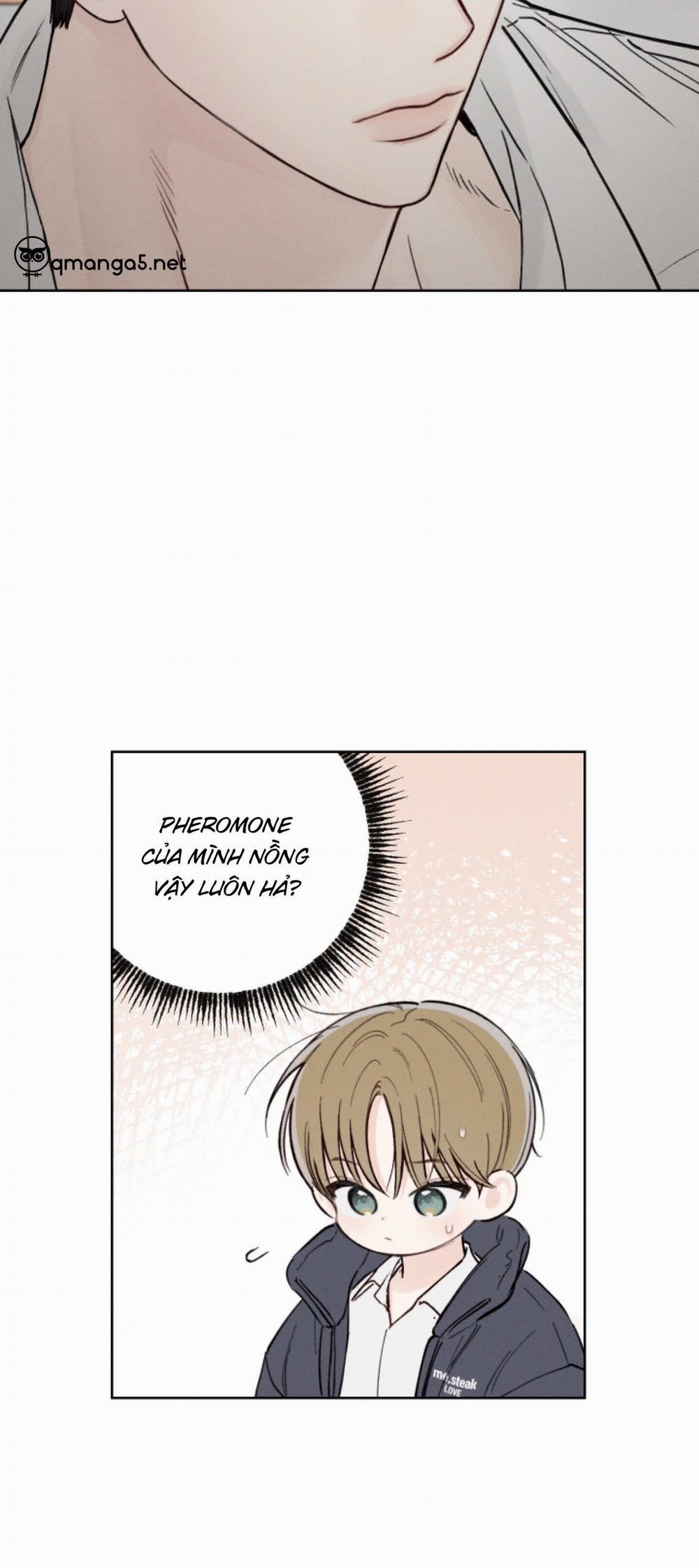 Tháng 12 Của Tôi 26 trang 6