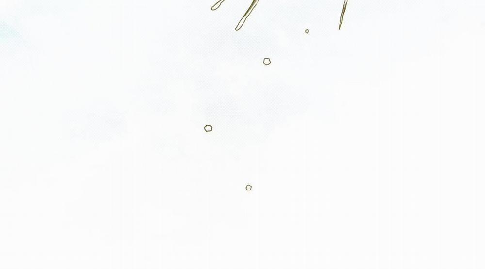 Tháng 12 Của Tôi 3 trang 67