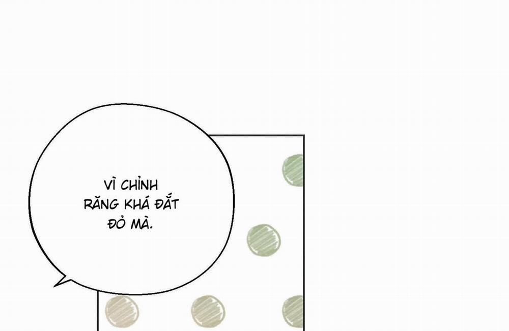 Tháng 12 Của Tôi 30 trang 19