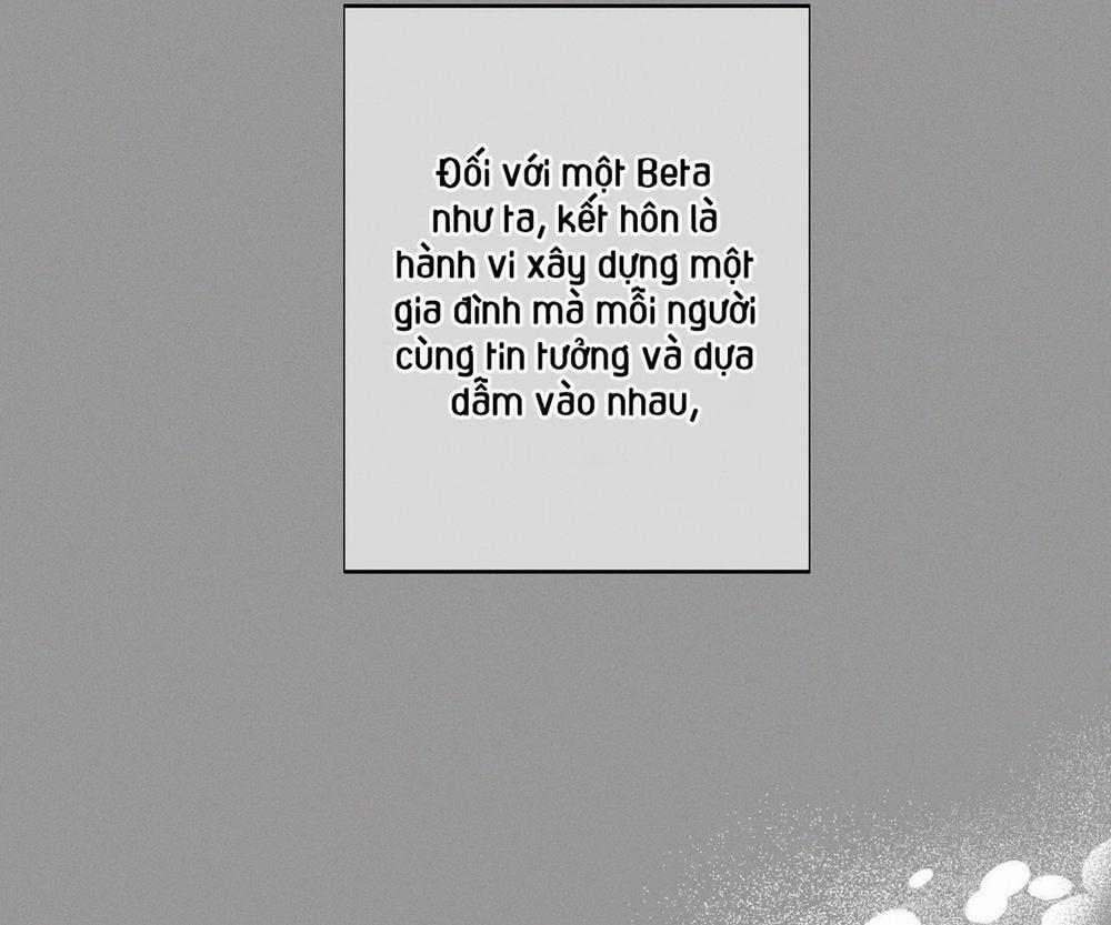 Tháng 12 Của Tôi 31 trang 63