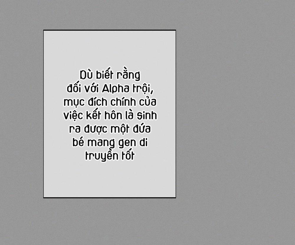 Tháng 12 Của Tôi 31 trang 68