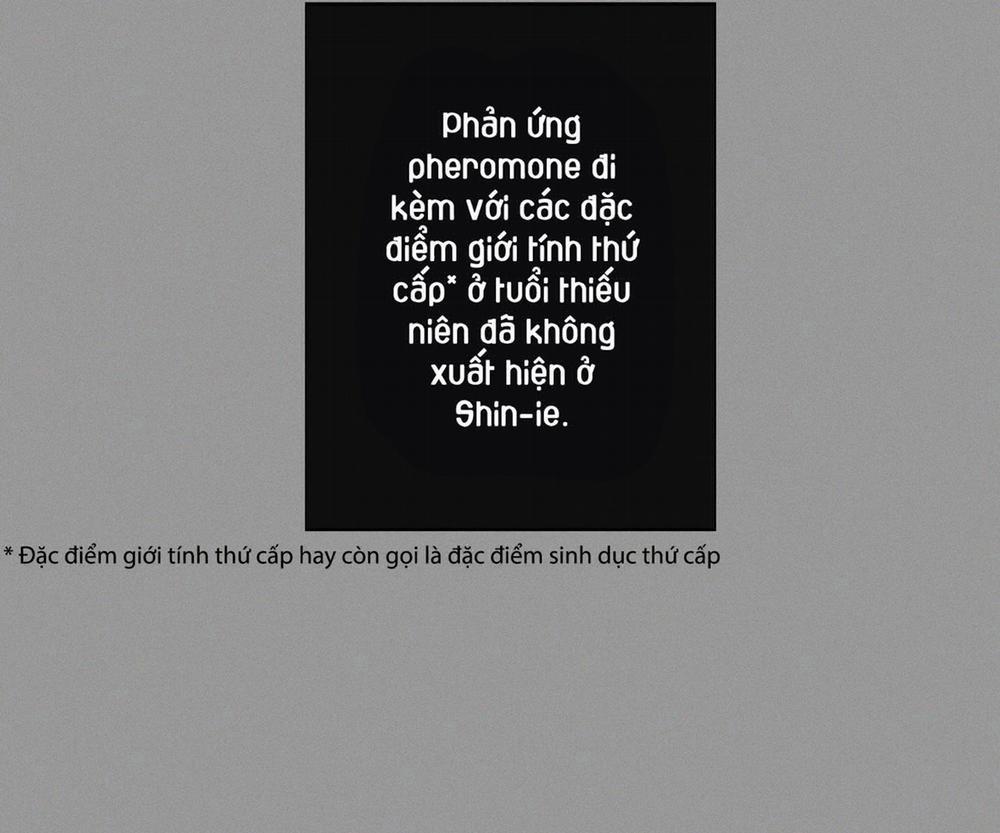 Tháng 12 Của Tôi 31 trang 93