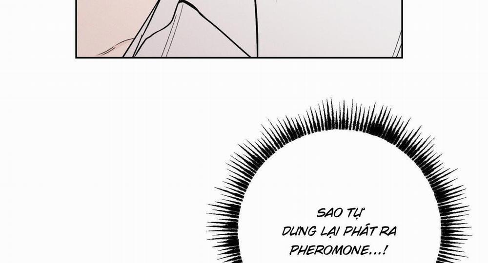 Tháng 12 Của Tôi 32 trang 133