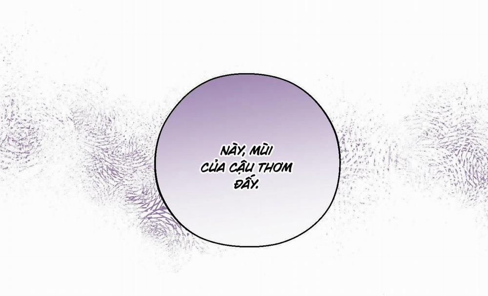 Tháng 12 Của Tôi 33 trang 13