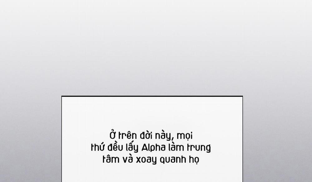 Tháng 12 Của Tôi 33 trang 178