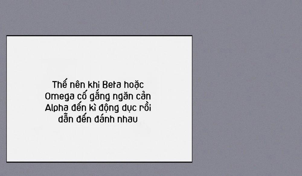 Tháng 12 Của Tôi 33 trang 182