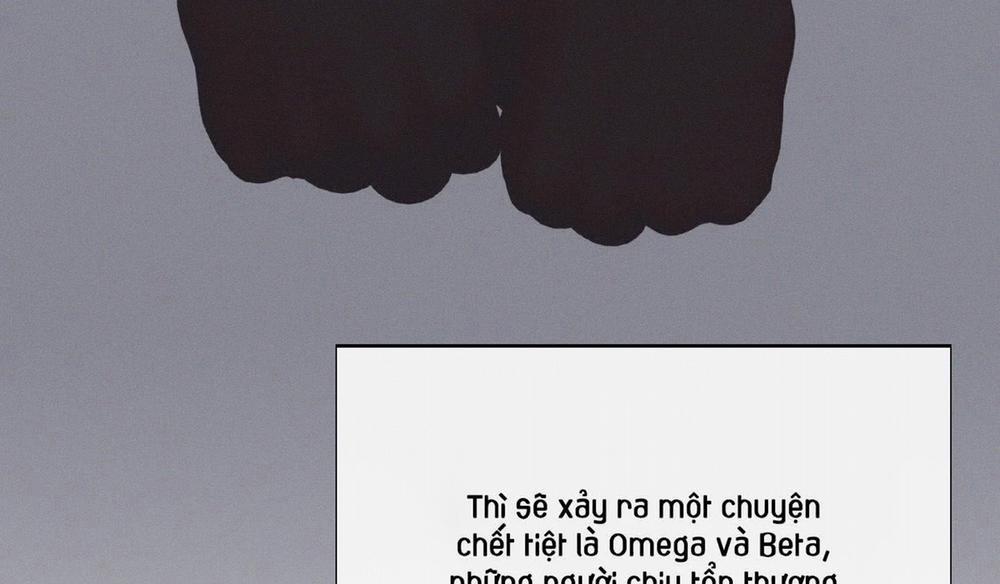 Tháng 12 Của Tôi 33 trang 184