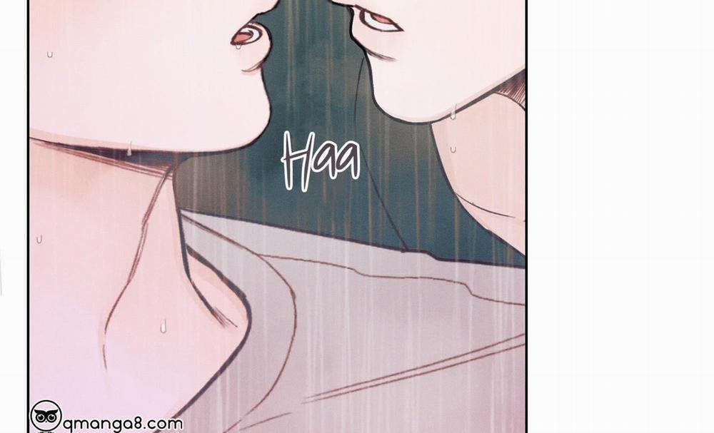 Tháng 12 Của Tôi 36 trang 146